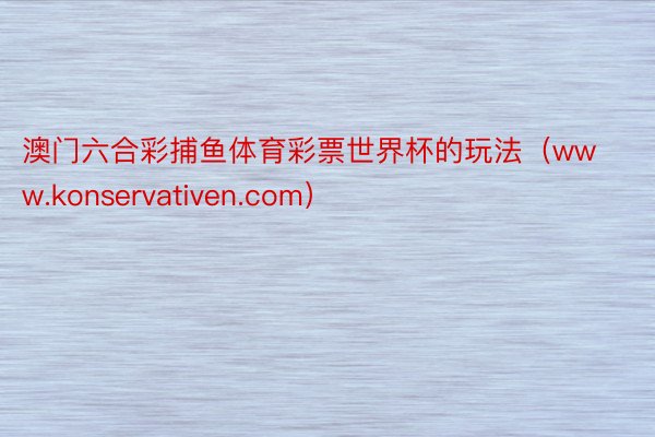 澳门六合彩捕鱼体育彩票世界杯的玩法（www.konservativen.com）