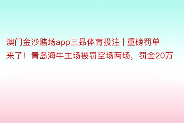 澳门金沙赌场app三昻体育投注 | 重磅罚单来了！青岛海牛主场被罚空场两场，罚金20万