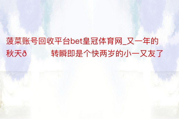 菠菜账号回收平台bet皇冠体育网_又一年的秋天🍂转瞬即是个快两岁的小一又友了