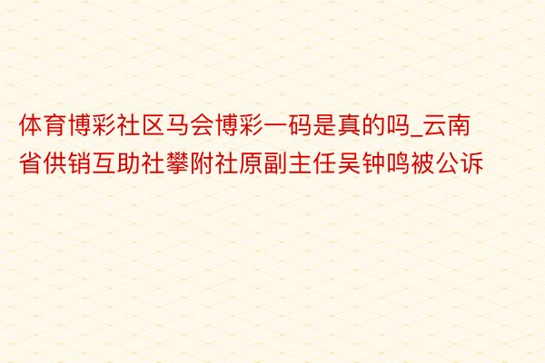 体育博彩社区马会博彩一码是真的吗_云南省供销互助社攀附社原副主任吴钟鸣被公诉